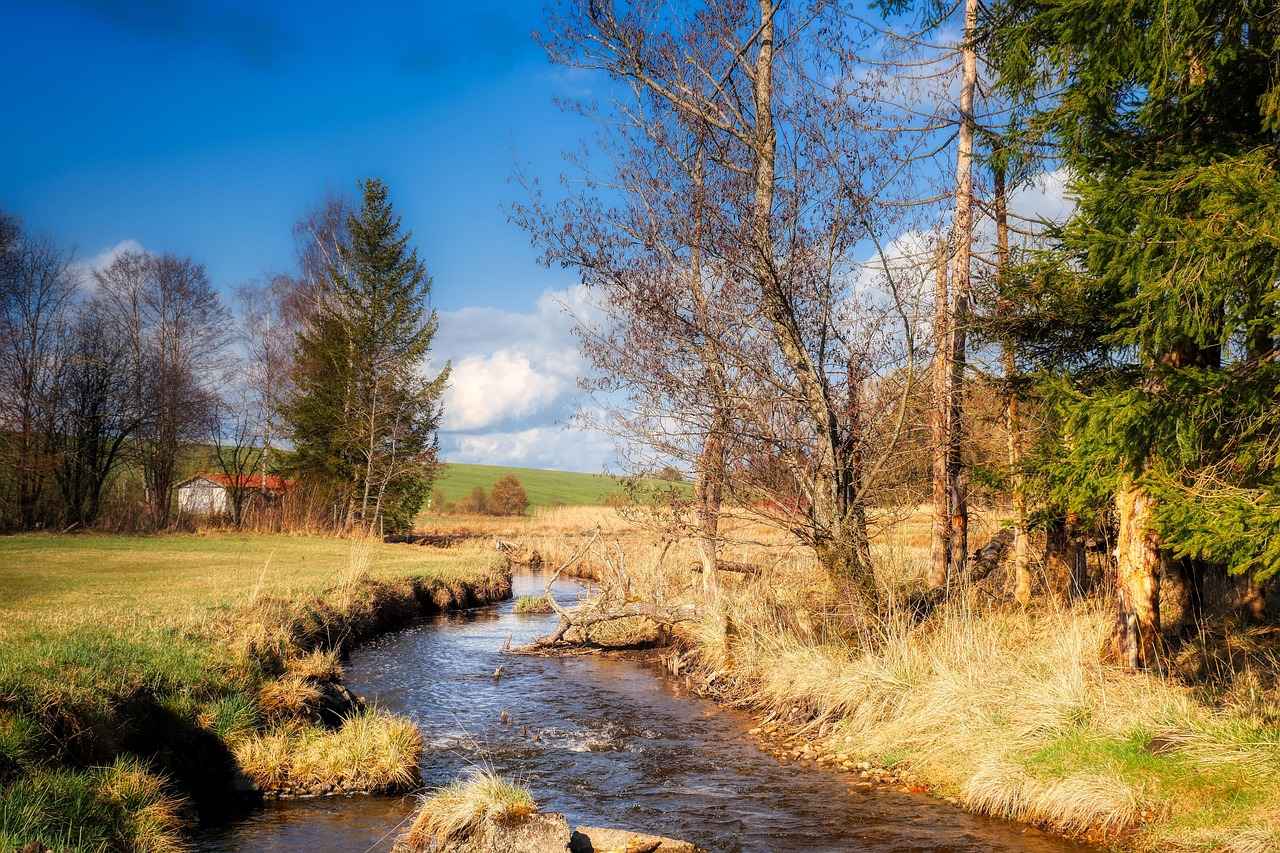 How Old Is IShowSpeed and Why It’s Going Viral 5 Why Is IShowSpeed's Content So Engaging?