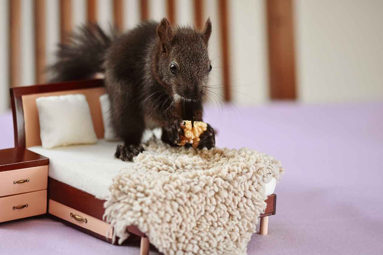 How Phone Holders for Beds Are Revolutionizing Nighttime Phone Use 4 4. Choosing the Right Phone Holder for Your Bed