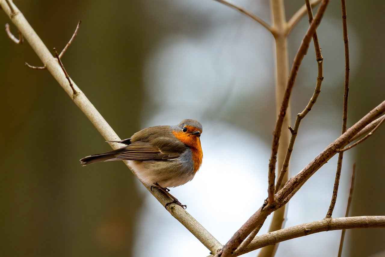 Why is Guest Blogging Important for Retail Brands?