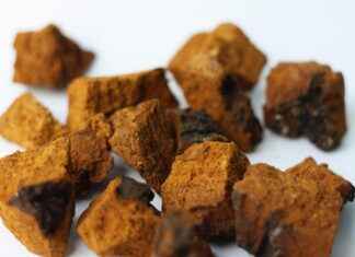 How Rhodiola Crenulata Enhances Mental Stamina How Rhodiola Crenulata Enhances Mental Stamina