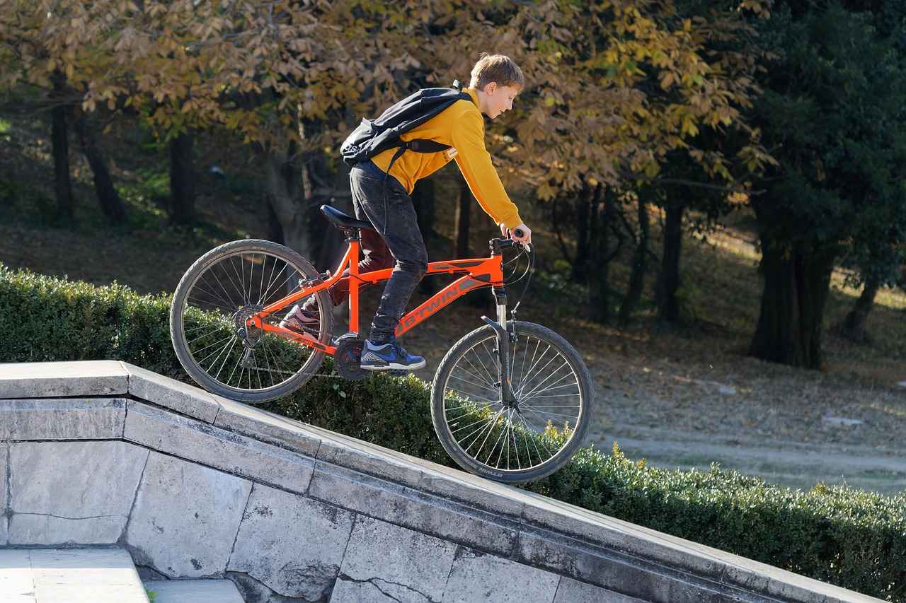 How the 3 Wheel Electric Bike Revolutionizes Urban Commuting 1 The Rise of Electric Bikes in Urban Areas