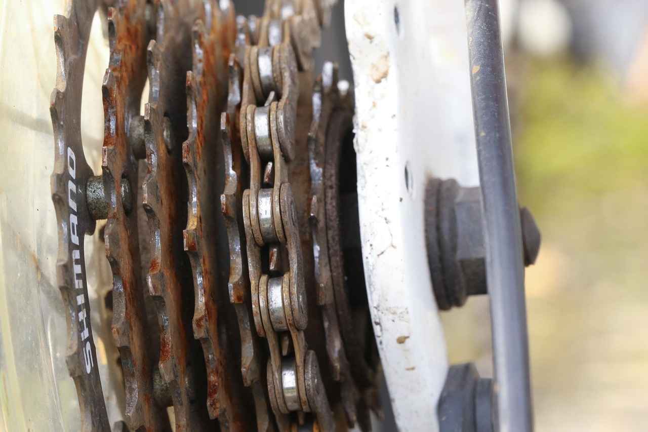 How the 3 Wheel Electric Bike Revolutionizes Urban Commuting 2 Benefits of 3 Wheel Electric Bikes