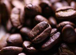 How the Aeropress Portable Coffee Maker Can Elevate Your Coffee Game How the Aeropress Portable Coffee Maker Can Elevate Your Coffee Game