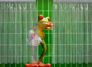 How to Avoid Common Mistakes When Applying for Personal Loans How to Avoid Common Mistakes When Applying for Personal Loans