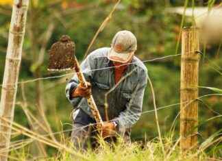 How to Brew Coffee Anywhere with a Portable Coffee Maker How to Brew Coffee Anywhere with a Portable Coffee Maker