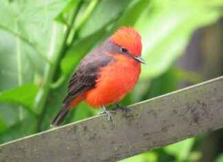 How to Brew Coffee in Your Car Using a Portable Coffee Maker How to Brew Coffee in Your Car Using a Portable Coffee Maker