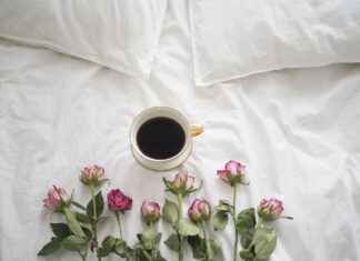 How to Brew Coffee While Camping with a Portable Coffee Maker How to Brew Coffee While Camping with a Portable Coffee Maker