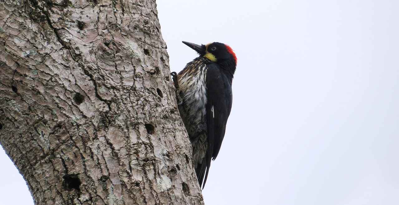 How to Brew Coffee with a Portable Coffee Maker in Just 3 Minutes 2 Choosing the Right Portable Coffee Maker