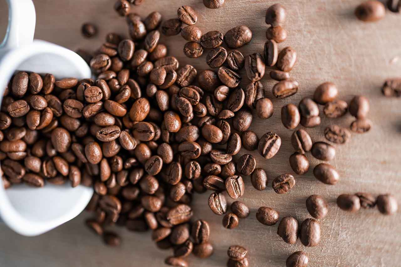 Mastering the Brewing Process