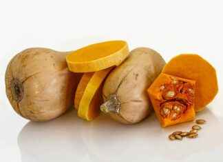 How to Buy the Best Vegetable Chopper for Your Family’s Needs How to Buy the Best Vegetable Chopper for Your Family’s Needs