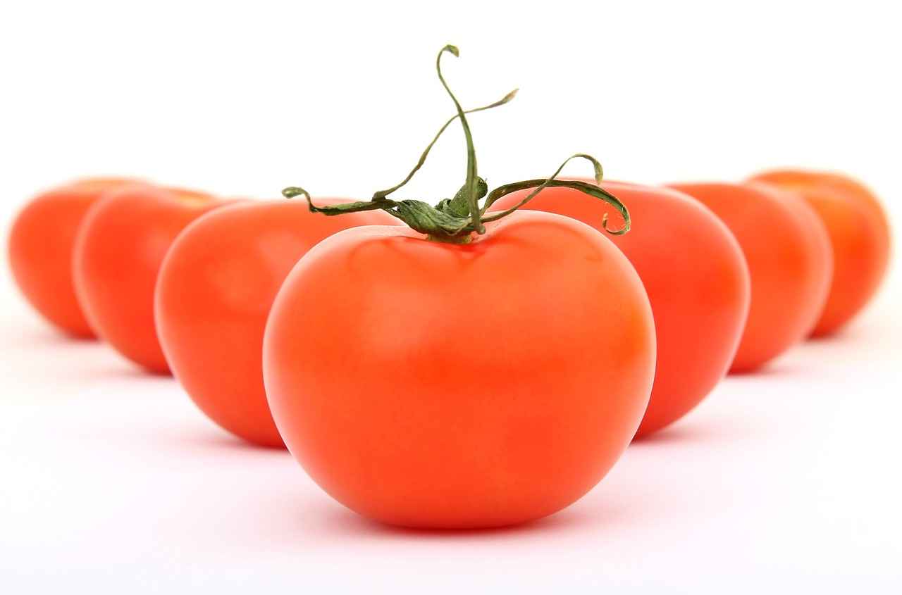 How to Buy the Best Vegetable Chopper for Your Family’s Needs 4 Price Range and Budgeting