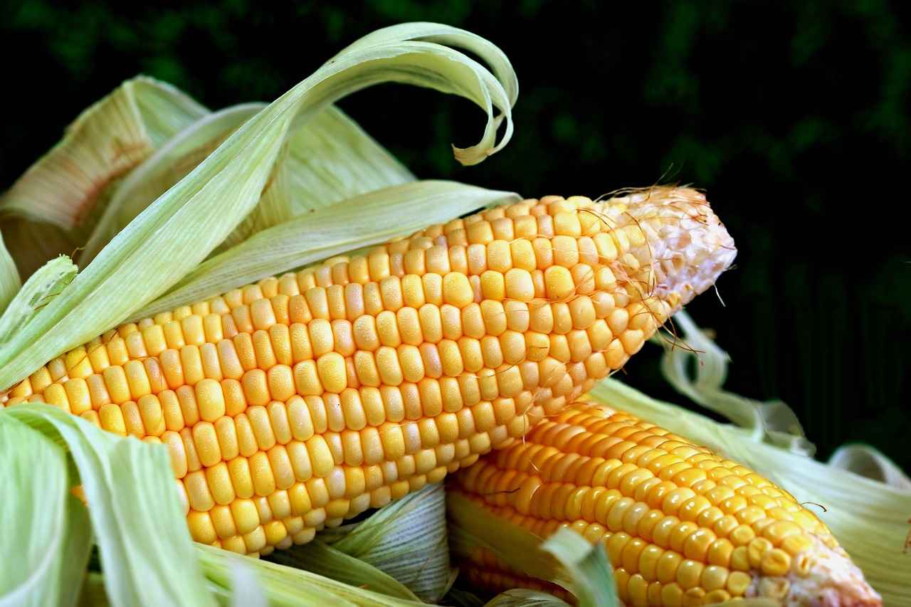 How to Buy the Perfect Vegetable Chopper for Your Kitchen 2 2. Types of Vegetable Choppers