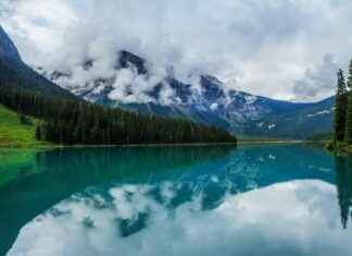 How to Care for Emerald Jewelry: Avoid These Common Mistakes How to Care for Emerald Jewelry: Avoid These Common Mistakes