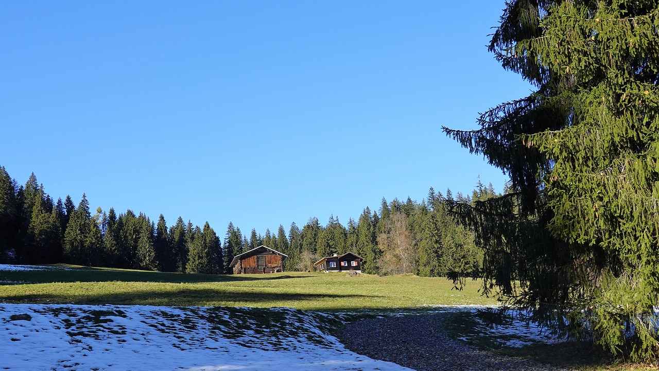 How to Change Cabin Filter in Honda Accord 3 Tools Required for Changing the Cabin Filter