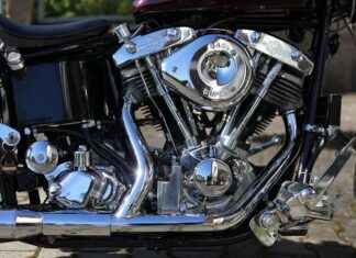 How to Choose a Vegetable Chopper for Large Quantities How to Choose a Vegetable Chopper for Large Quantities