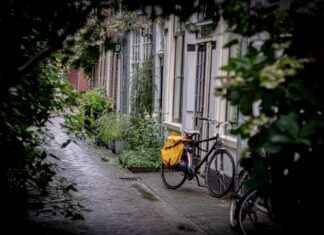 How to Choose the Best Electric Bike for Kids: A Comprehensive Guide How to Choose the Best Electric Bike for Kids: A Comprehensive Guide