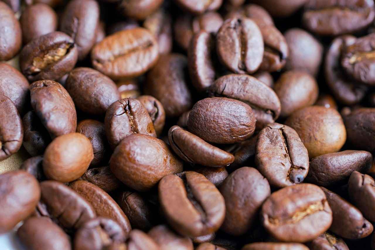 Key Features to Consider