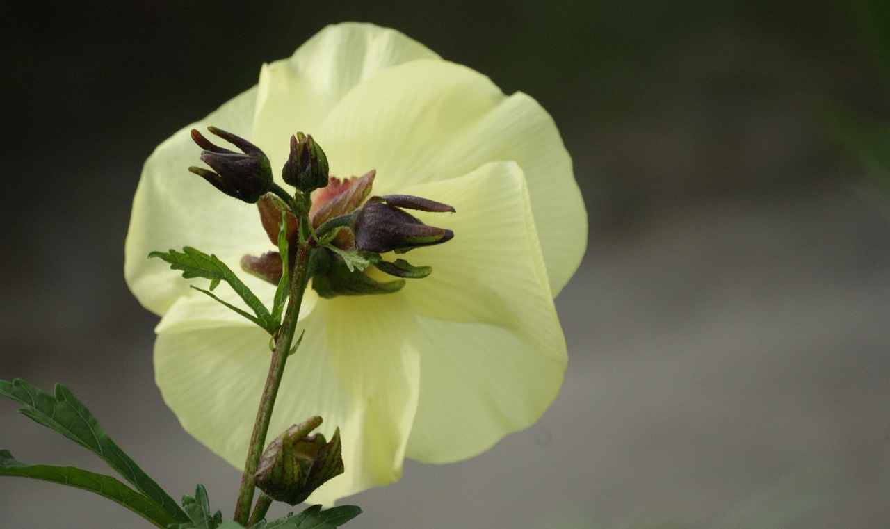 Understanding Your Coffee Preferences