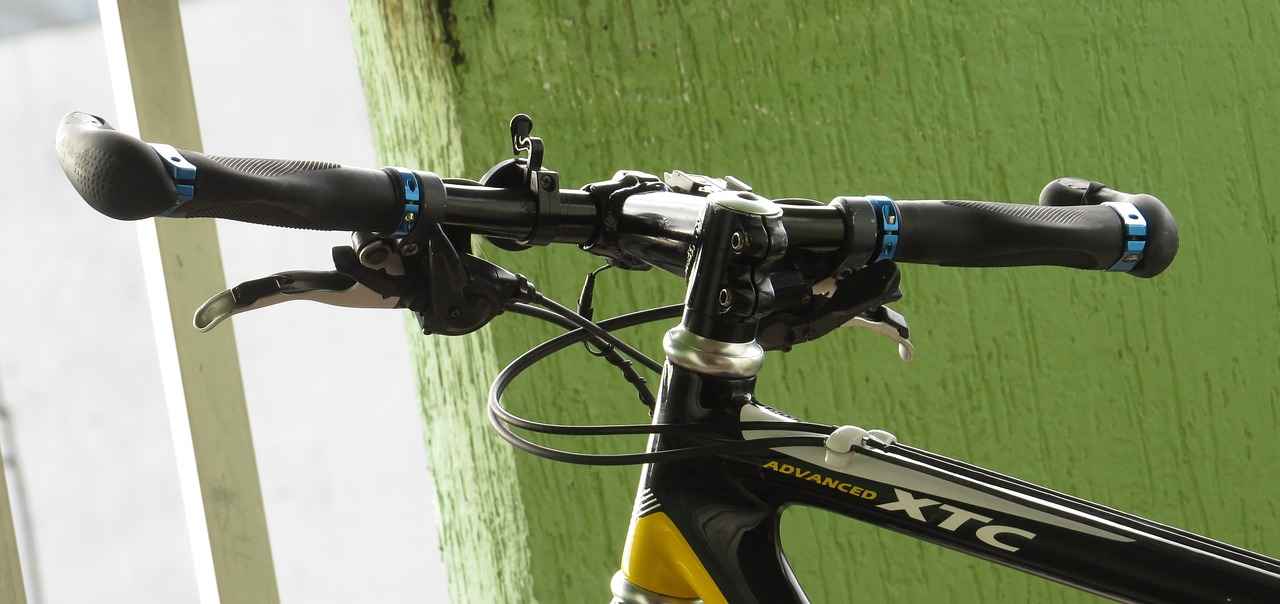 Customer Reviews and Recommendations