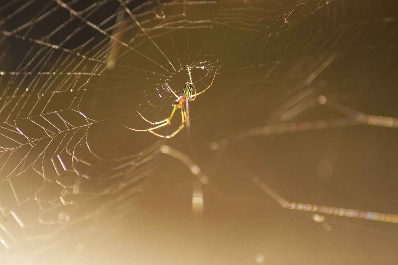 Key Features to Look For