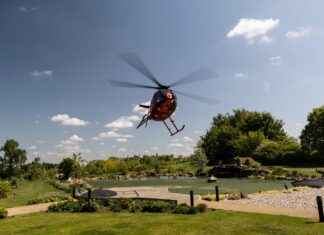 How to Choose the Best Vegetable Chopper for Meal Prep How to Choose the Best Vegetable Chopper for Meal Prep