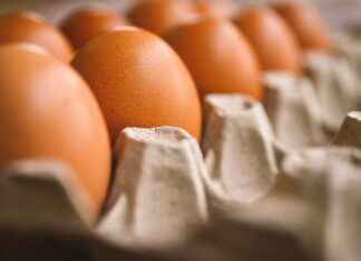 How to Choose the Best Xbox Controller Phone Holder How to Choose the Best Xbox Controller Phone Holder