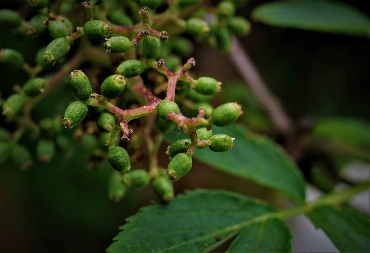 How to Choose the Best Xbox Controller Phone Holder 2 Types of Phone Holders for Xbox Controllers