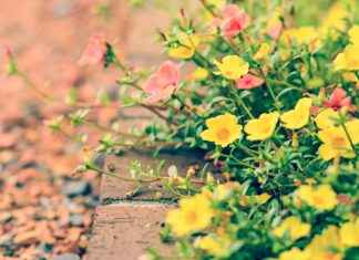 How to Choose the Perfect Bed Headboard Design for Your Space How to Choose the Perfect Bed Headboard Design for Your Space