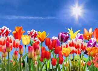 How to Choose the Perfect Bed Headrest Design for Maximum Comfort How to Choose the Perfect Bed Headrest Design for Maximum Comfort