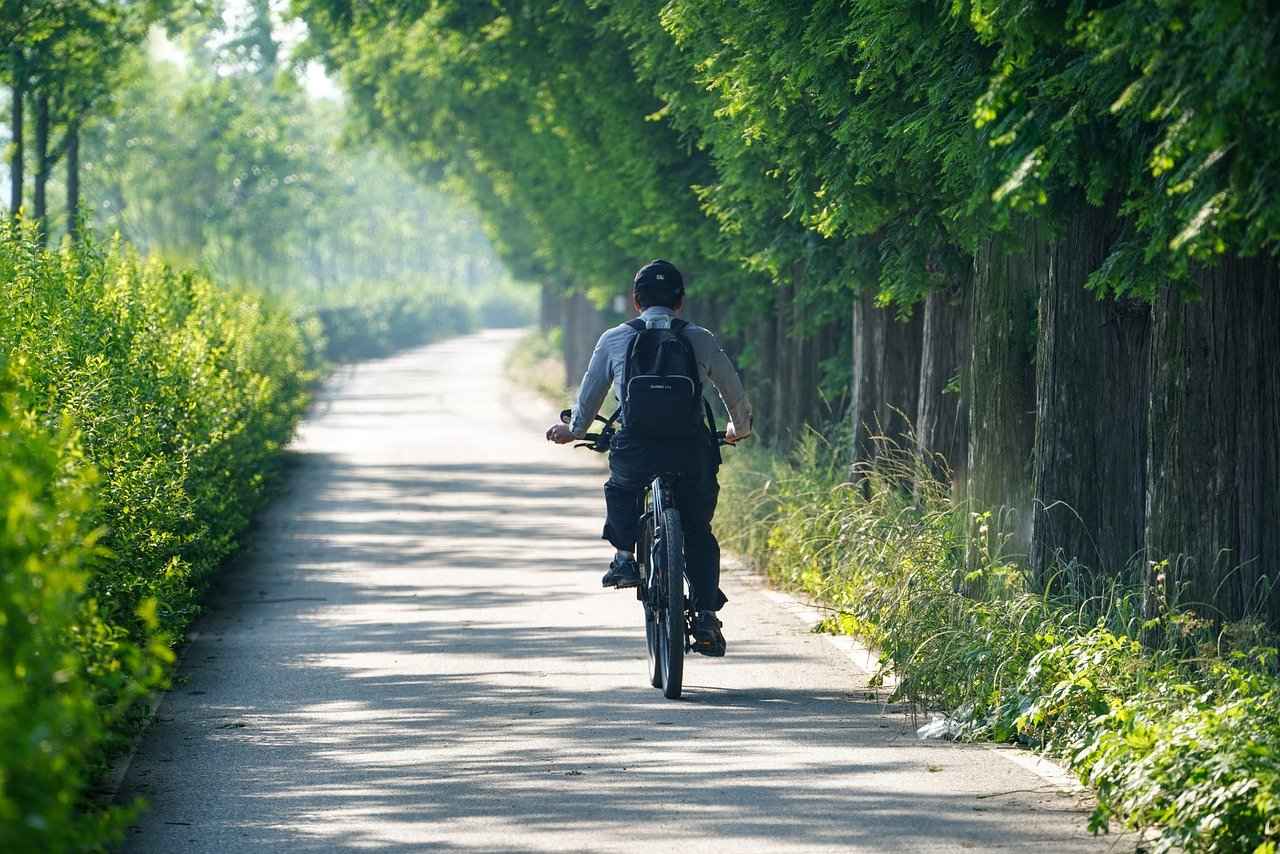 Test Riding and Final Considerations