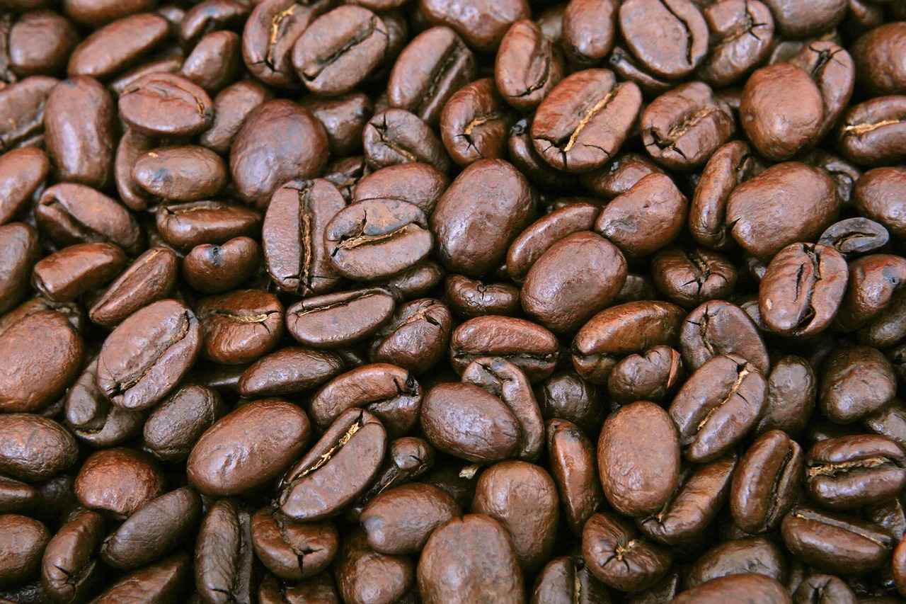 Understanding Your Portable Coffee Maker