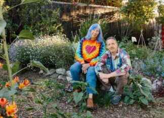 How to Clean Polluted Soil in L.A. After Fires how-to-clean-polluted-soil-in-la-after-fires