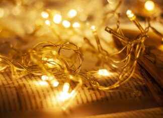 How to Create a Cozy and Stylish Bedroom with Modern Bed Designs How to Create a Cozy and Stylish Bedroom with Modern Bed Designs