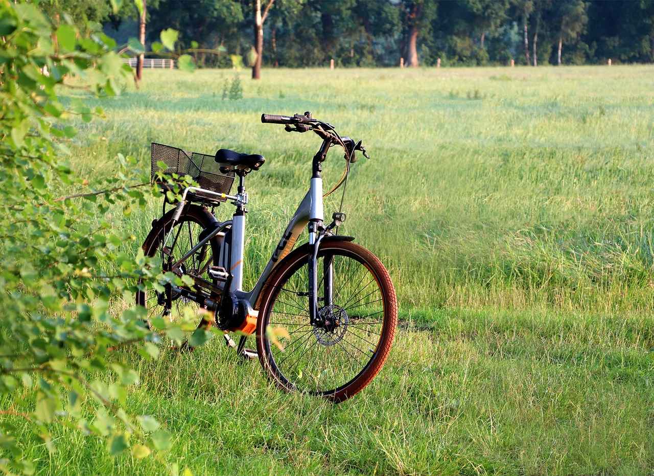 Maintaining Your Customized Electric Bike