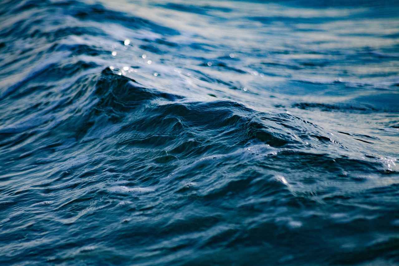 How to Do a 7-Day Water Fast Safely 4 What to Expect During the Fast