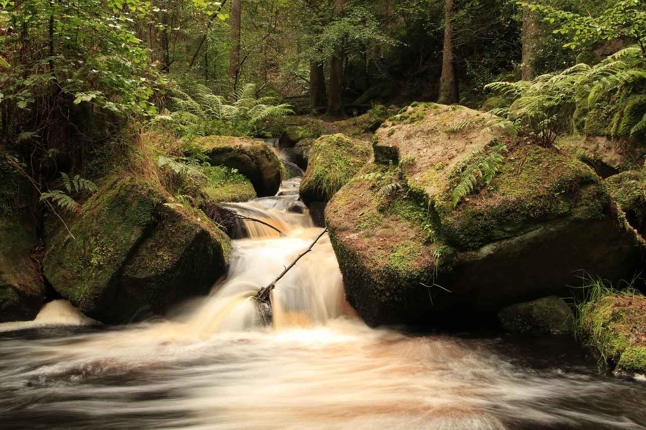 How to Do a 7-Day Water Fast Safely 3 Preparing for a 7-Day Water Fast
