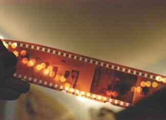 How to Download Movies from 123 Movies (Safely) How to Download Movies from 123 Movies (Safely)