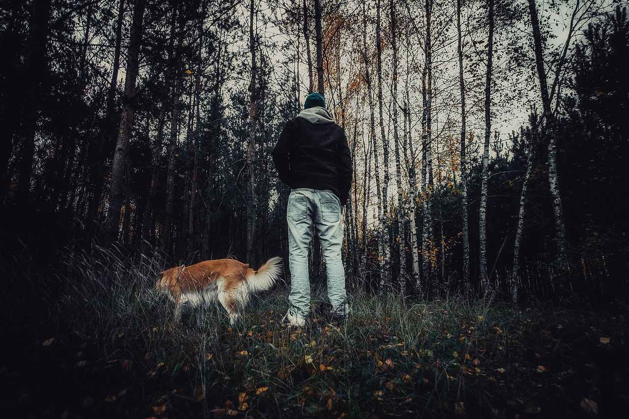 Is 123 Movies Legal?