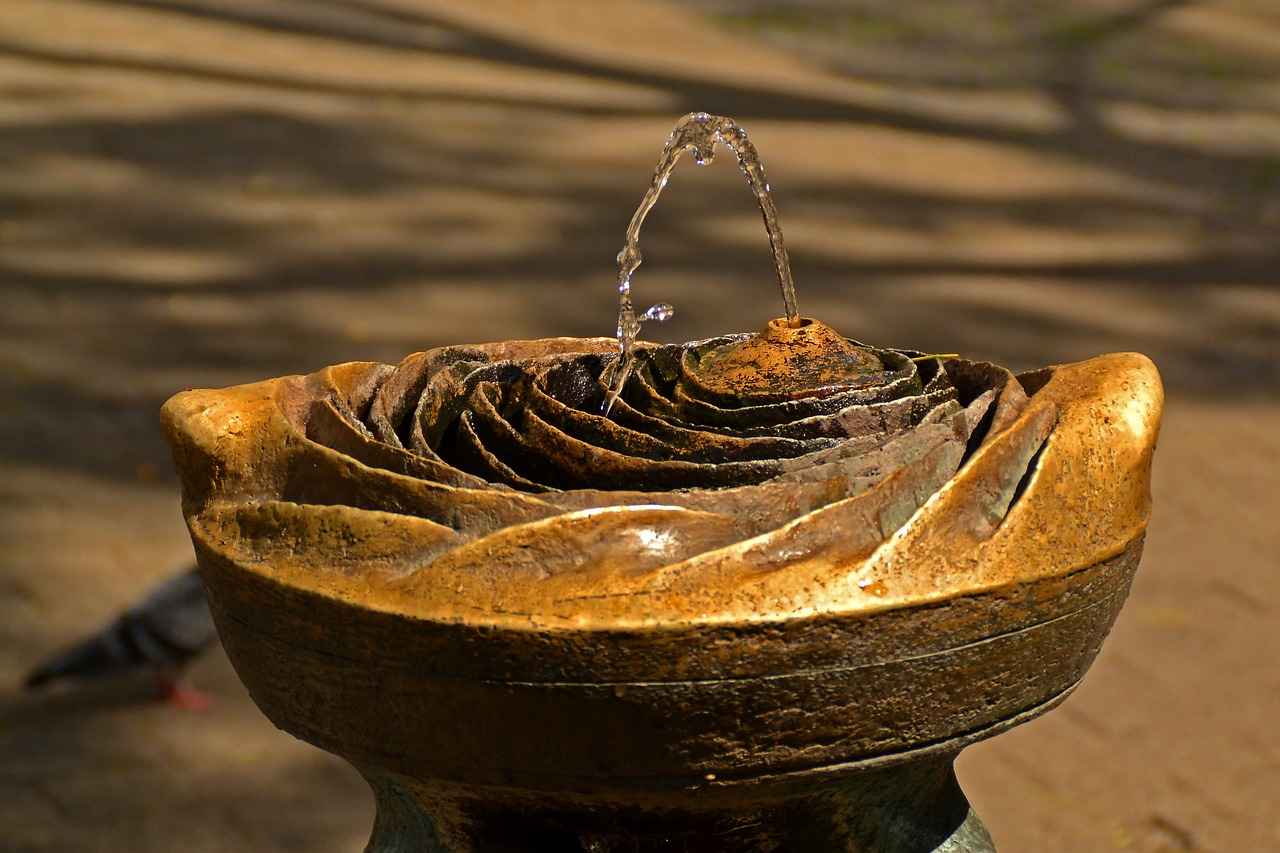 How to Drop Water Weight Fast: Tips for Quick Slimming 2 Common Causes of Water Retention