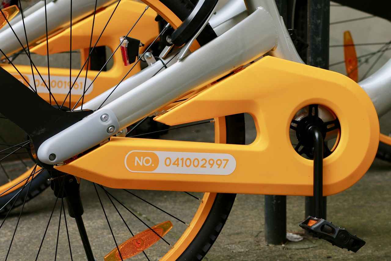 Understanding Electric Bike Rentals