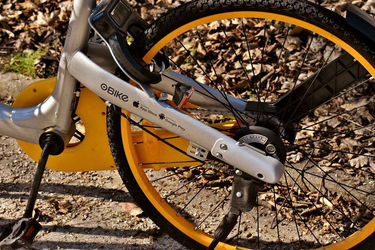 Tips for a Memorable Electric Bike Experience