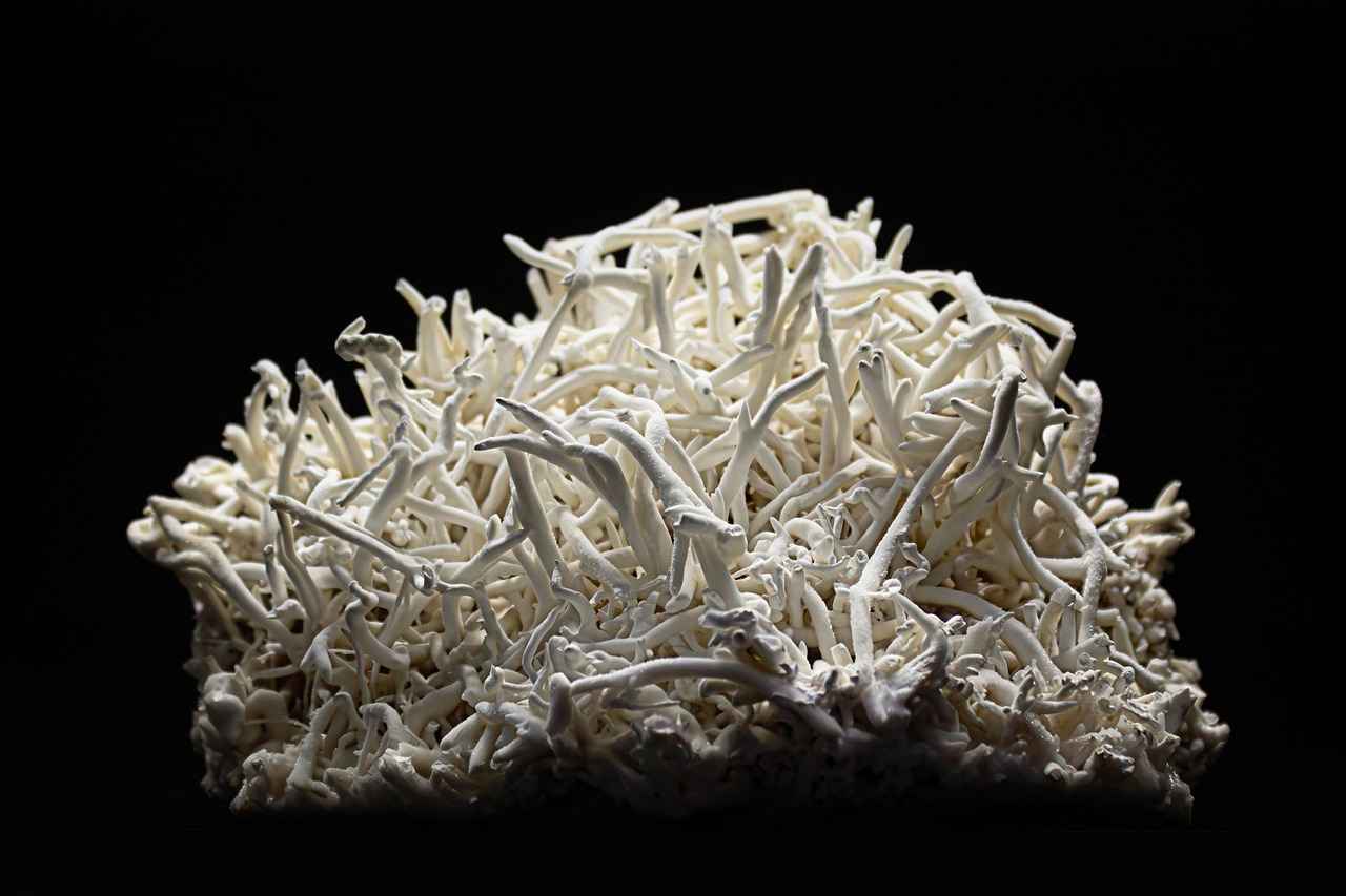 How to Find Rare and Unique Gemstones 2 Types of Rare Gemstones