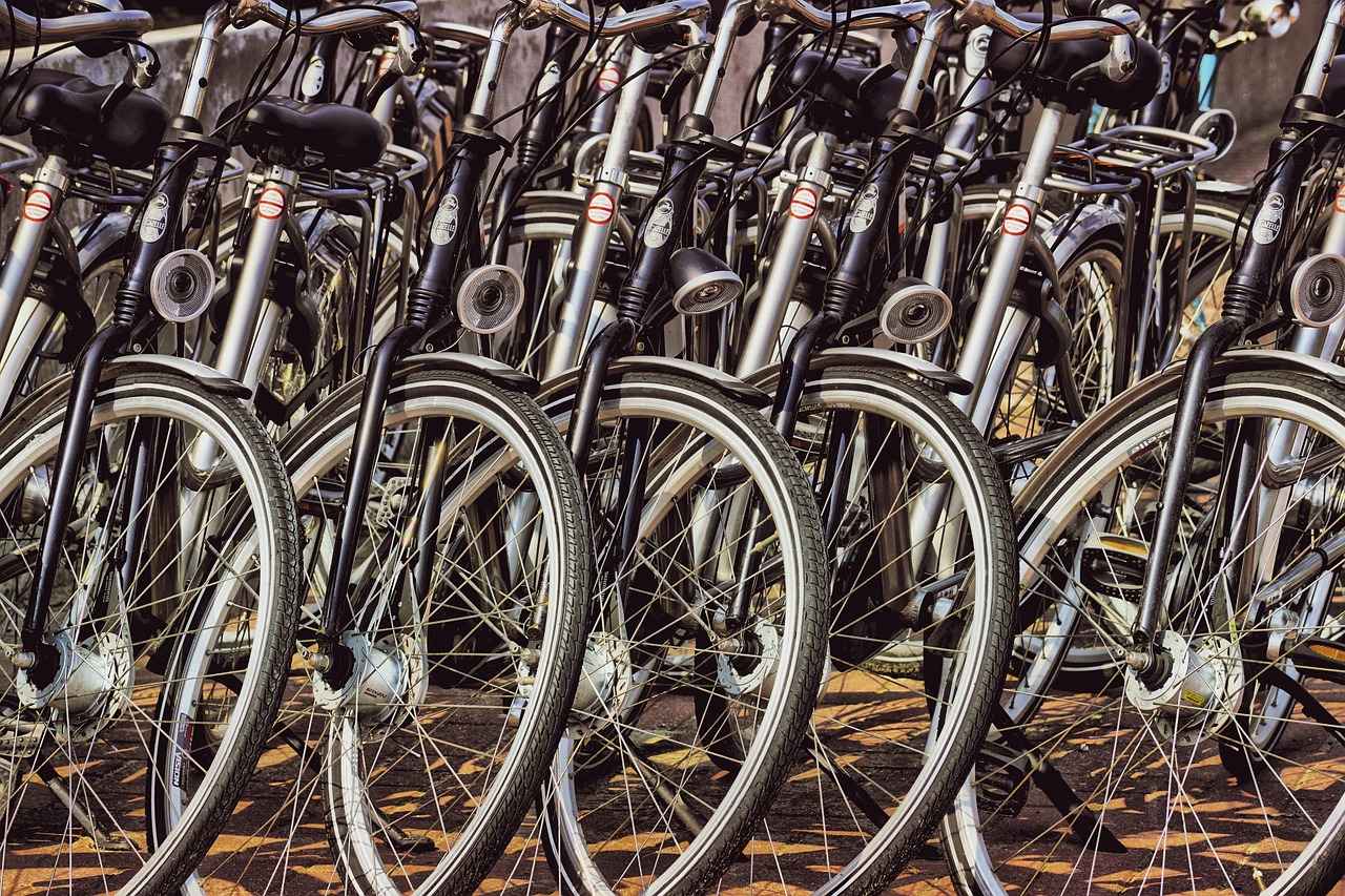 6. Storage Solutions for Your Ride