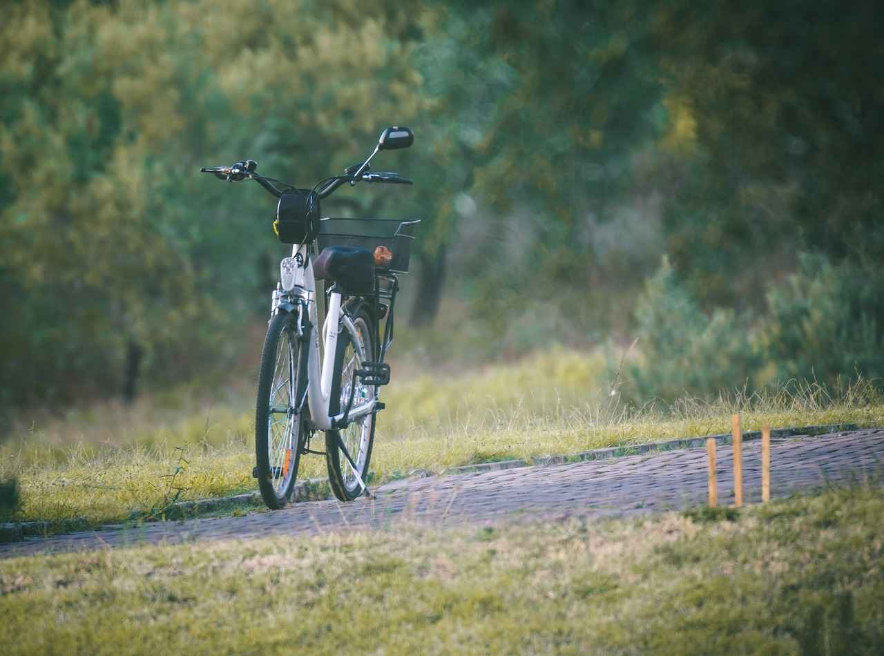 Where to Shop for Electric Bikes