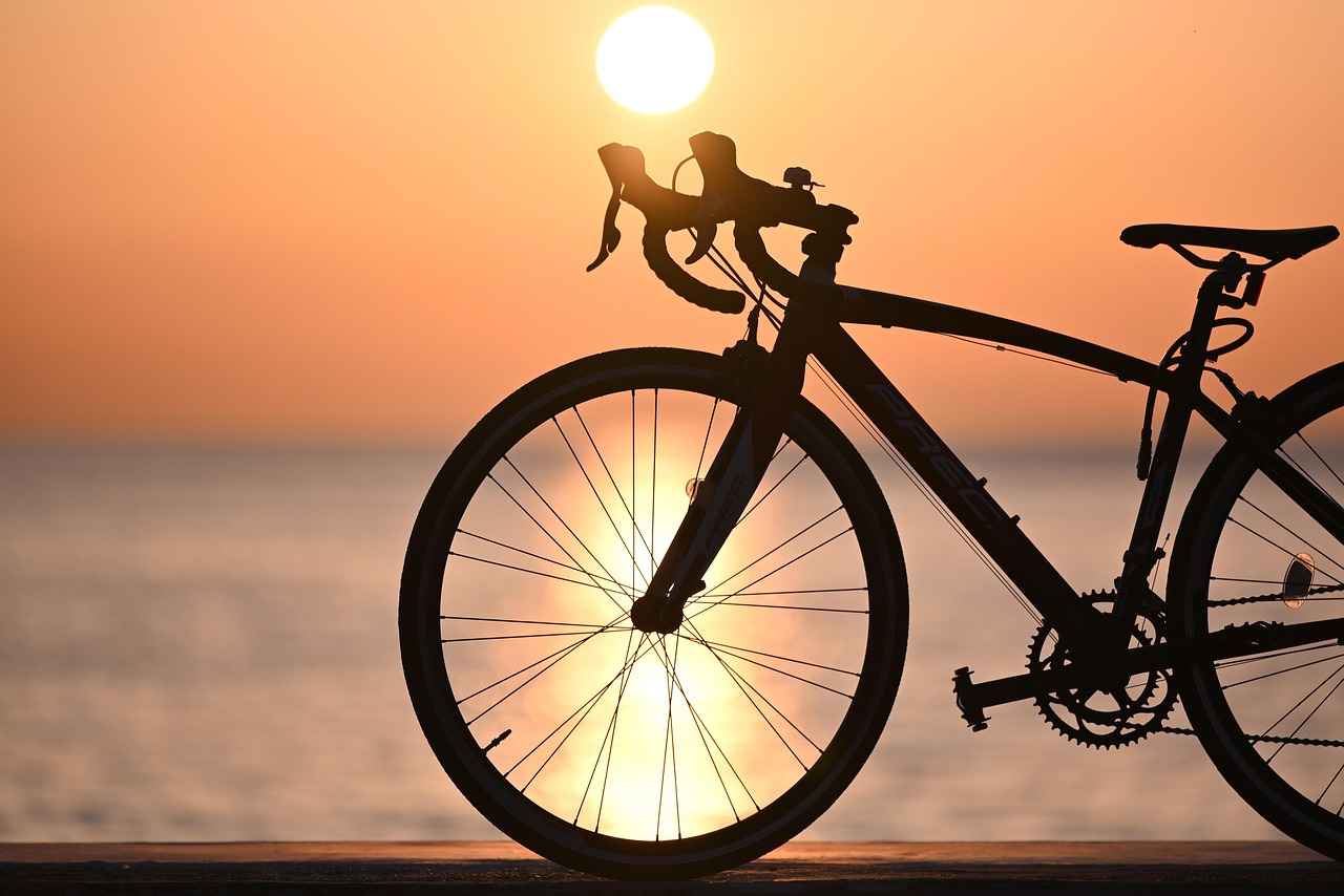 Where to Shop for Electric Bikes