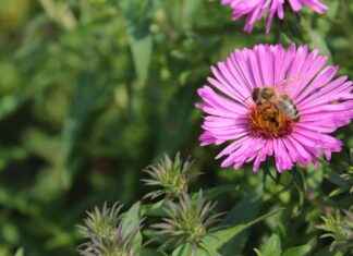 How to Find the Best Lawyers & Attorneys in Denver, Colorado, US How to Find the Best Lawyers & Attorneys in Denver, Colorado, US