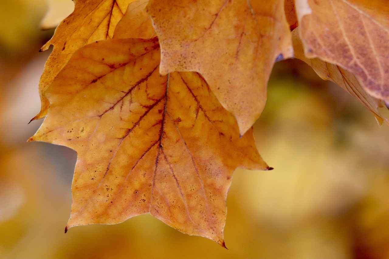 Product Liability Cases Explained