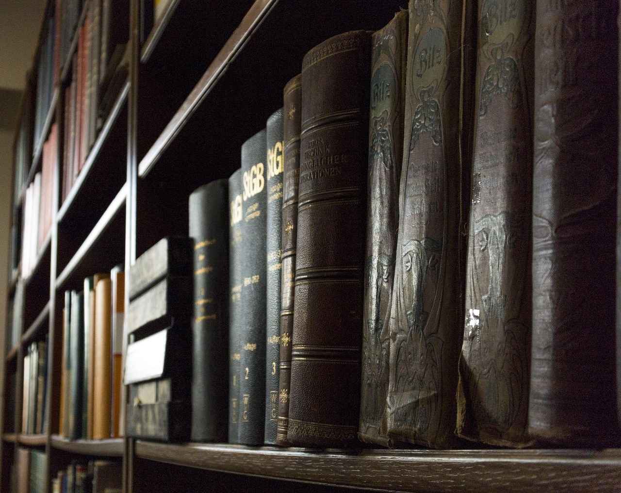 Landlord-Tenant Disputes: Know Your Rights