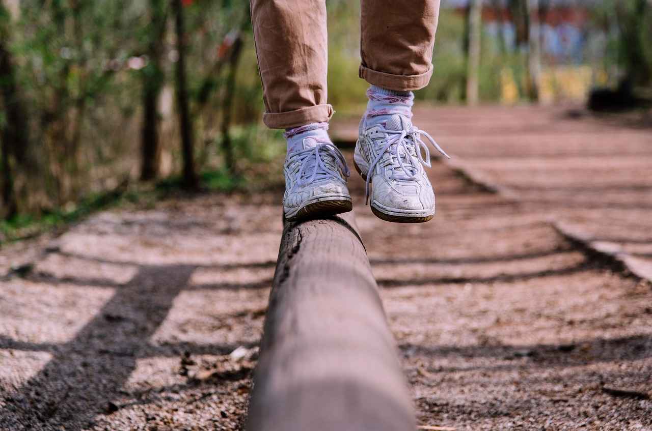 Bankruptcy and Financial Legal Support
