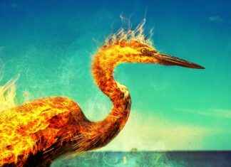 How to Find the Best Lawyers & Attorneys in Phoenix, Arizona, US How to Find the Best Lawyers & Attorneys in Phoenix, Arizona, US